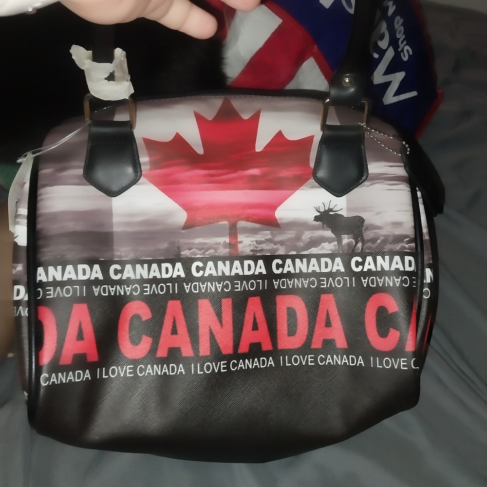 Robin ruth canada purse handbag